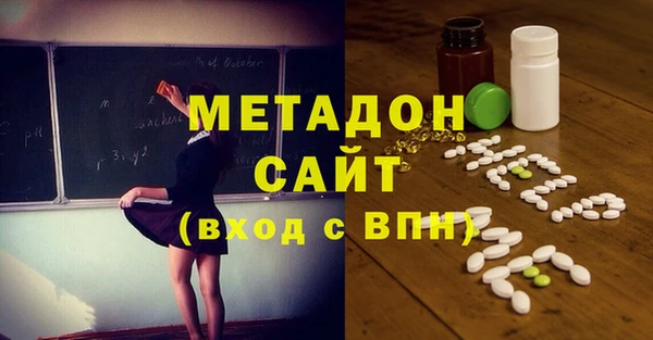 прущие грибы Алзамай
