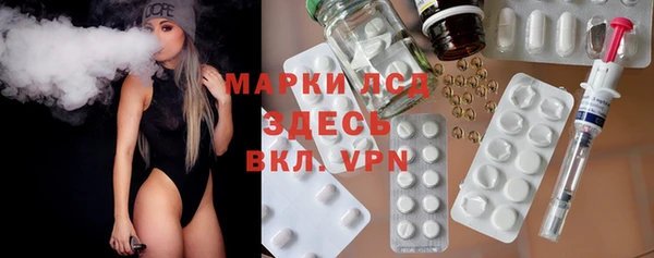 прущие грибы Алзамай
