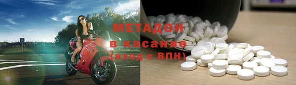 прущие грибы Алзамай