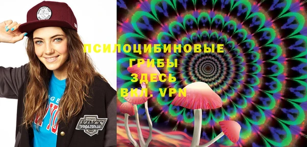 прущие грибы Алзамай