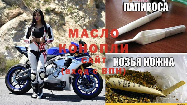 прущие грибы Алзамай