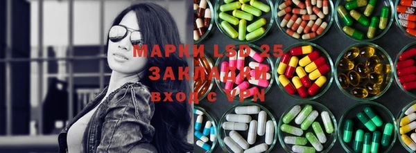 прущие грибы Алзамай
