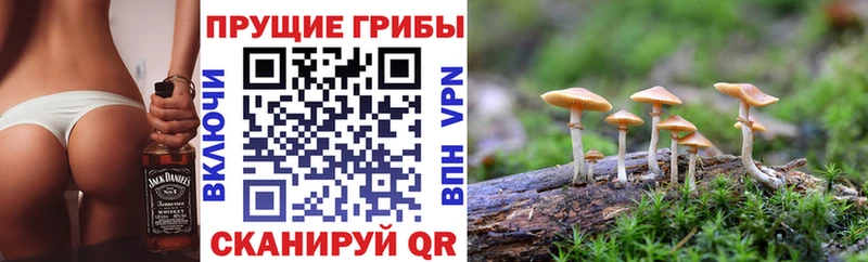 Псилоцибиновые грибы мицелий Чердынь