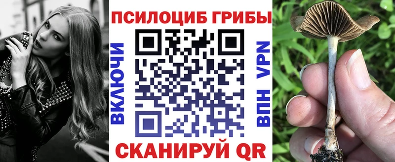 Галлюциногенные грибы мицелий  Чердынь 